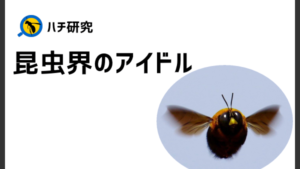 丸々モフモフ！可愛すぎる昆虫界のアイドル『クマバチ』にズームイン！